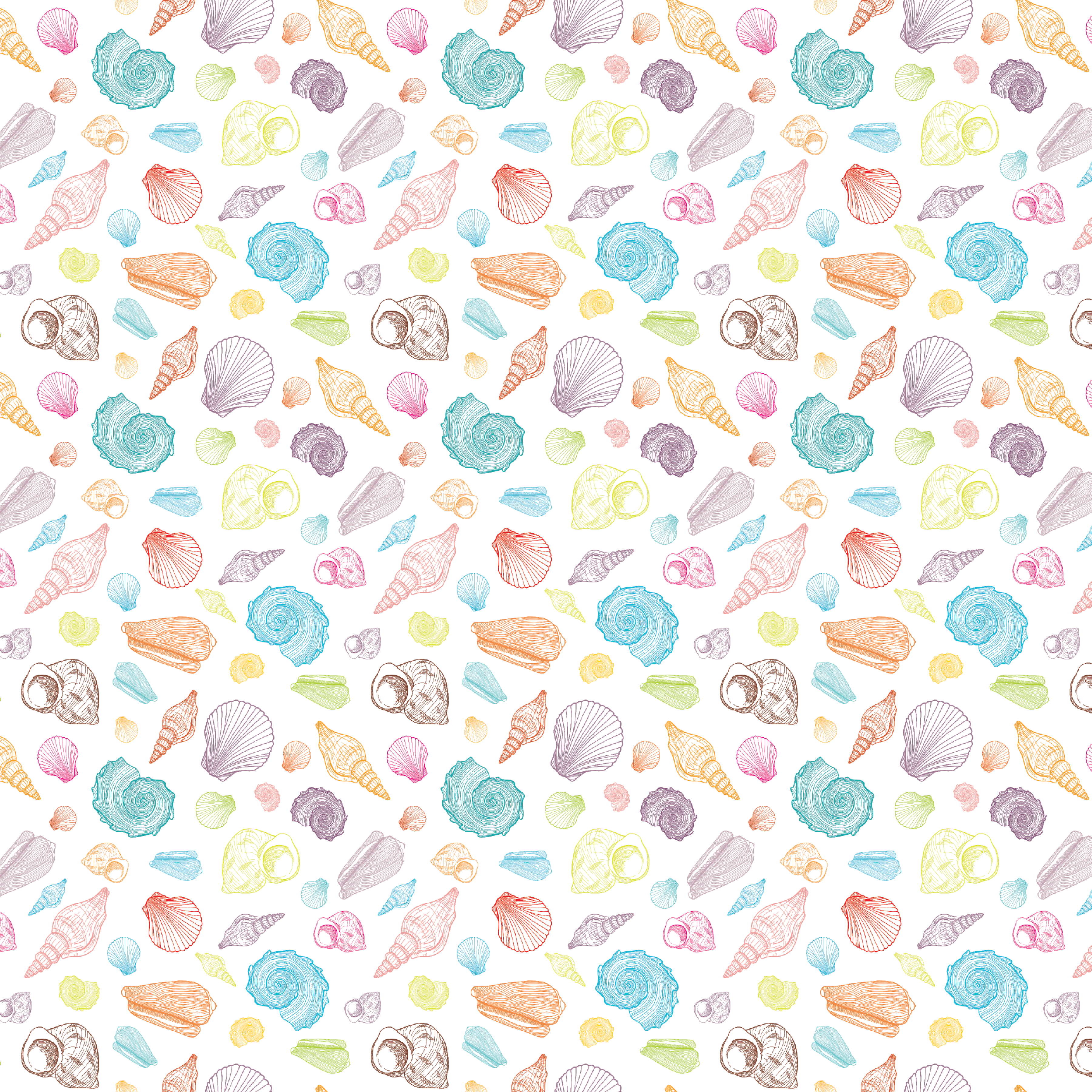 Bright Seashells Pattern Acrylic Sheets - CMB Pattern Acrylic